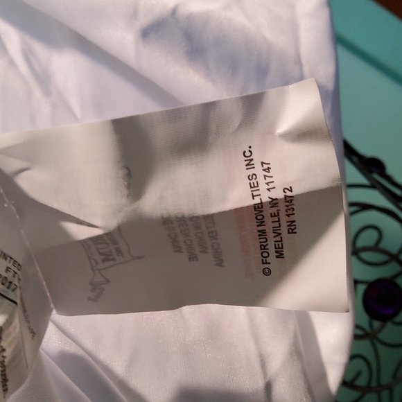 Elegant Costume Gown - Picture 7 of 8